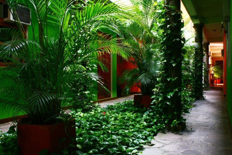 Hotel Arbol De Fuego Σαν Σαλβαντόρ Εξωτερικό φωτογραφία