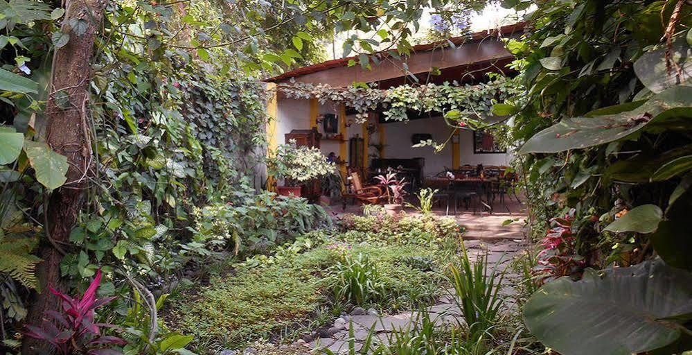 Hotel Arbol De Fuego Σαν Σαλβαντόρ Εξωτερικό φωτογραφία