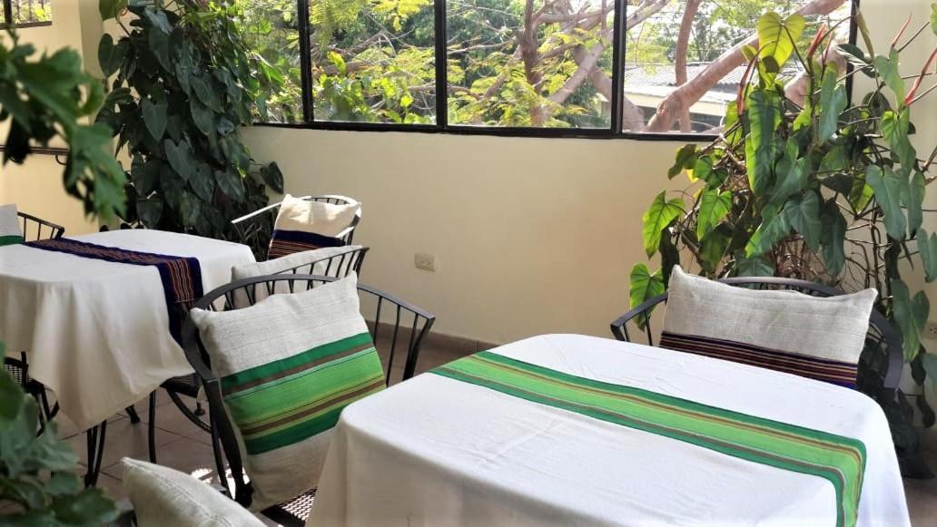 Hotel Arbol De Fuego Σαν Σαλβαντόρ Εξωτερικό φωτογραφία