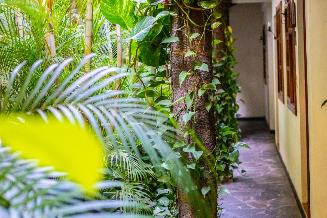Hotel Arbol De Fuego Σαν Σαλβαντόρ Εξωτερικό φωτογραφία