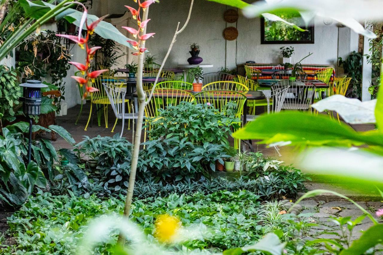 Hotel Arbol De Fuego Σαν Σαλβαντόρ Εξωτερικό φωτογραφία