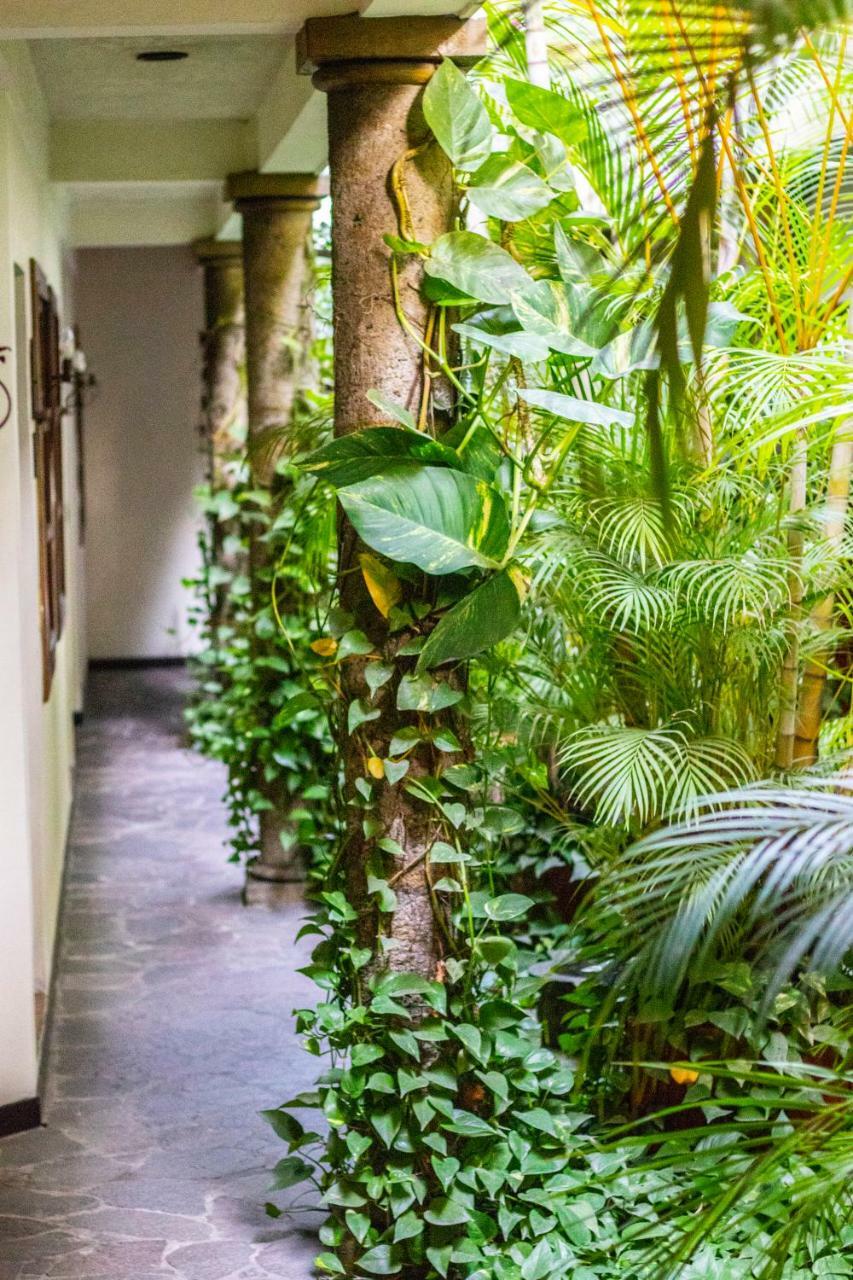 Hotel Arbol De Fuego Σαν Σαλβαντόρ Εξωτερικό φωτογραφία