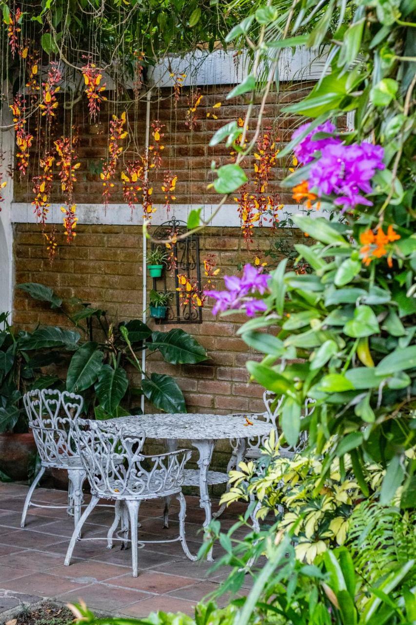 Hotel Arbol De Fuego Σαν Σαλβαντόρ Εξωτερικό φωτογραφία