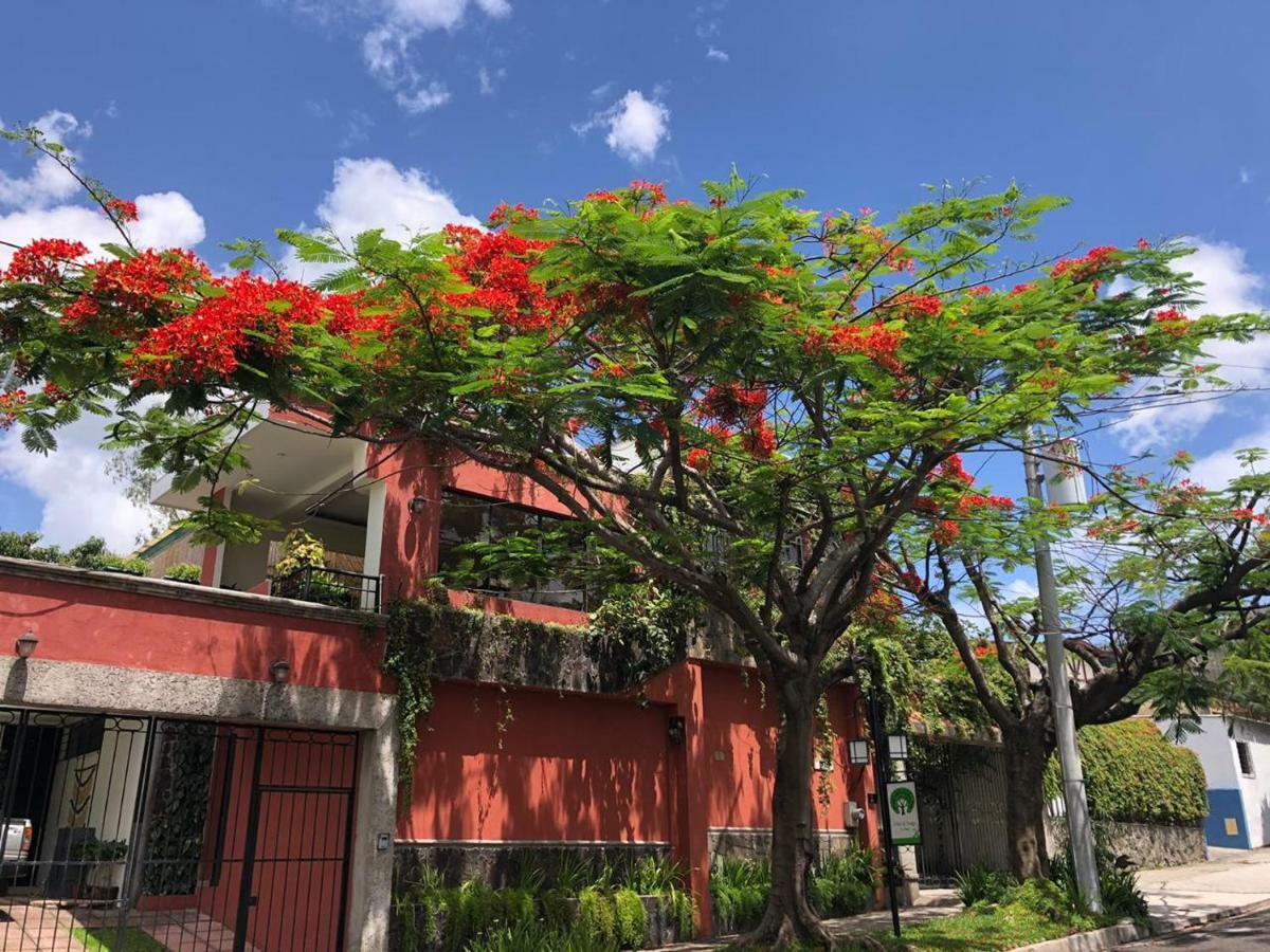 Hotel Arbol De Fuego Σαν Σαλβαντόρ Εξωτερικό φωτογραφία